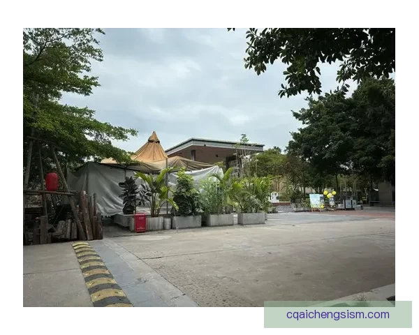 ZOZO人鲁交为核心的城市交响与千面旅途光影交织的明日街巷中